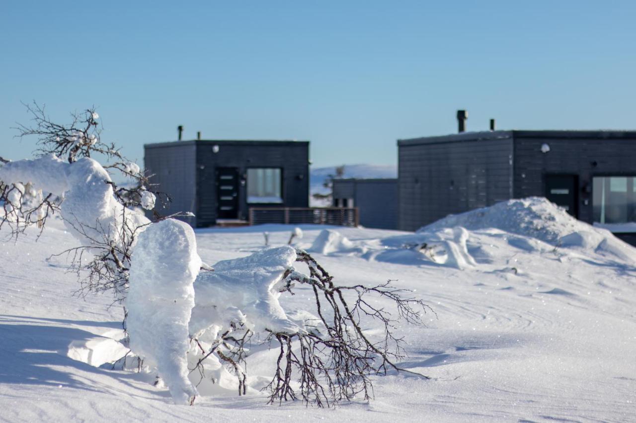 Top Star Saariselkae - Arctic Glass Cubes Kültér fotó